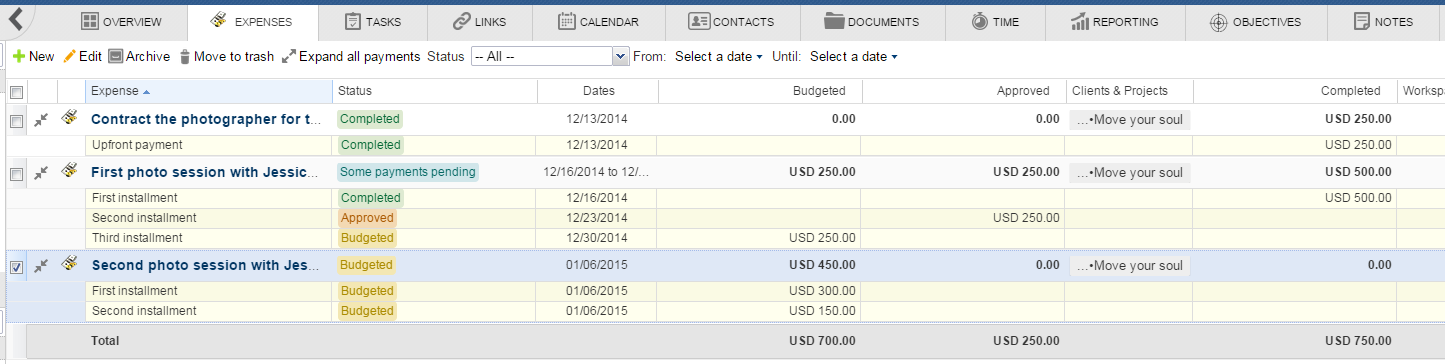 Feng Office - Expenses Module